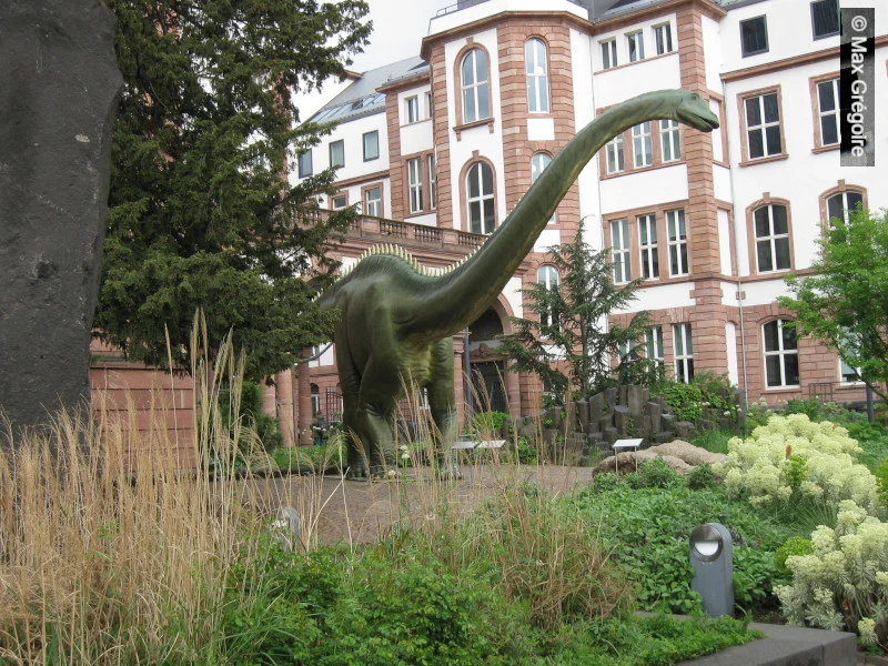 Dinosaure