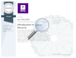 New York University
